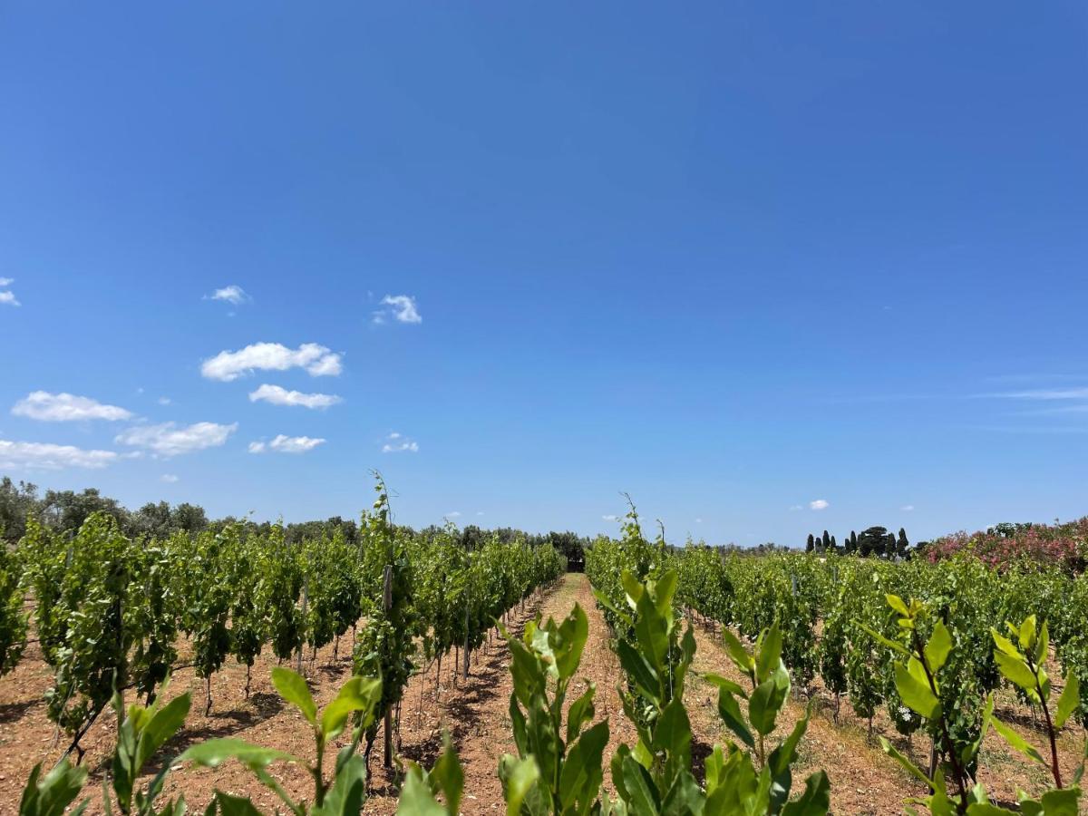 Agriturismo Terra Rossa Отранто Екстериор снимка