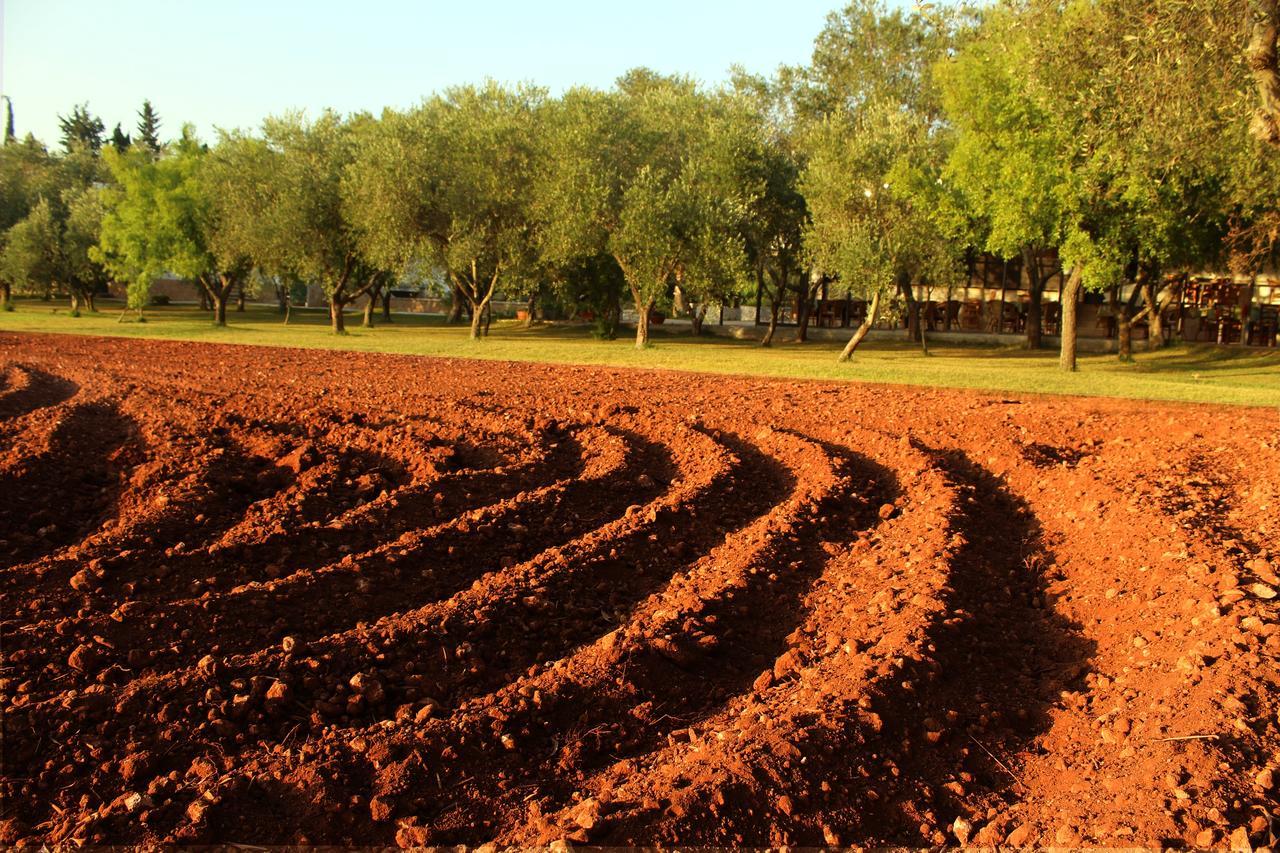 Agriturismo Terra Rossa Отранто Екстериор снимка